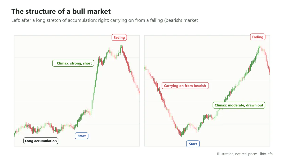 Two shapes of a bull market: after long accumulation the climax is a strong but short rise; carrying on from bearish, the climax is moderate but drawn out