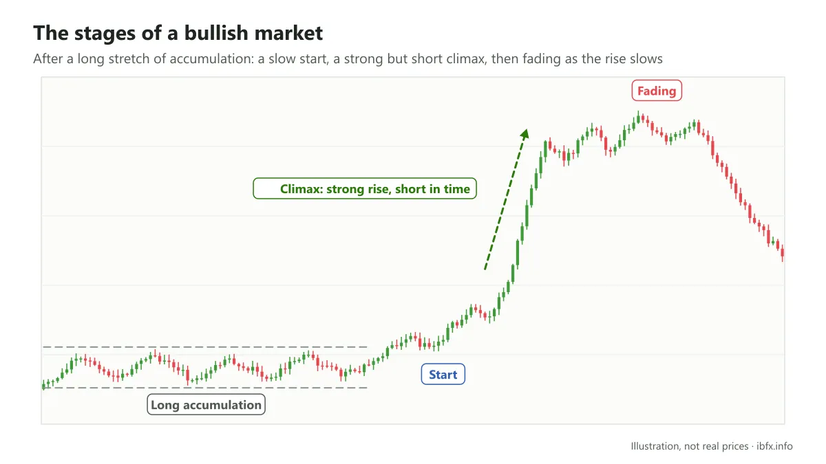The stages of a bullish market after a long stretch of accumulation: start, a strong but short climax, then fading