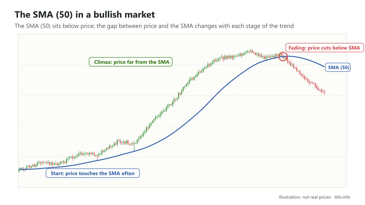 The SMA 50 in a bullish market: price touches the SMA often at the start, runs far from it at the climax, then cuts below it while fading