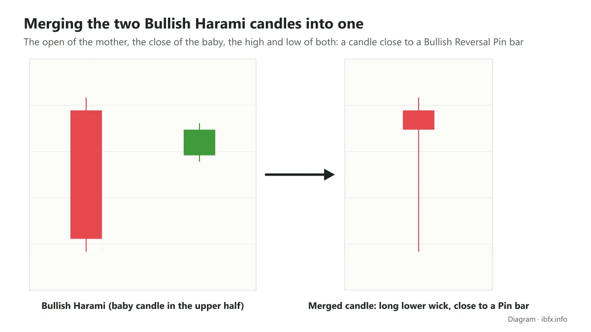 Diagram merging the two Bullish Harami candles into one: the open of the mother, the close of the baby, giving a candle with a long lower wick like a Pin bar