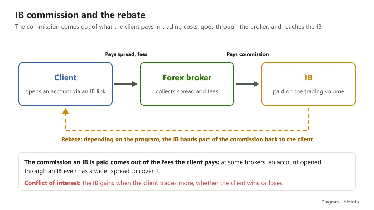 Diagram of the IB money flow: the client pays spread and fees to the broker, the broker pays commission to the IB, the IB may rebate part of it