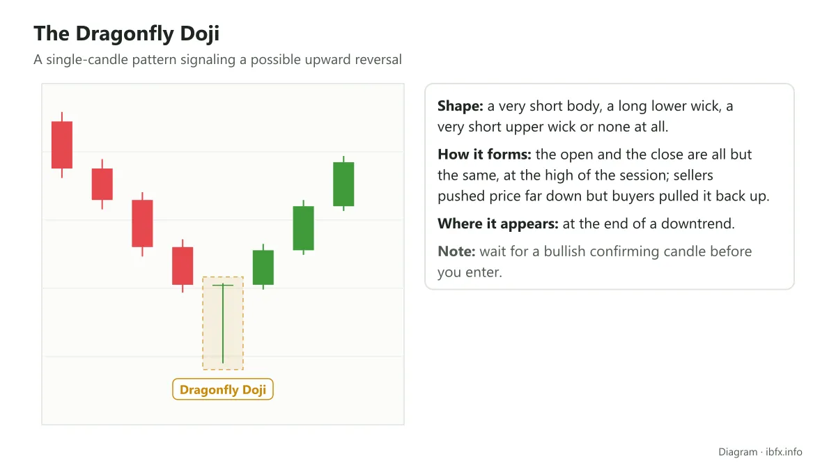 Diagram of the Dragonfly Doji: a very short body and a long lower wick, appearing at the end of a downtrend before price rises