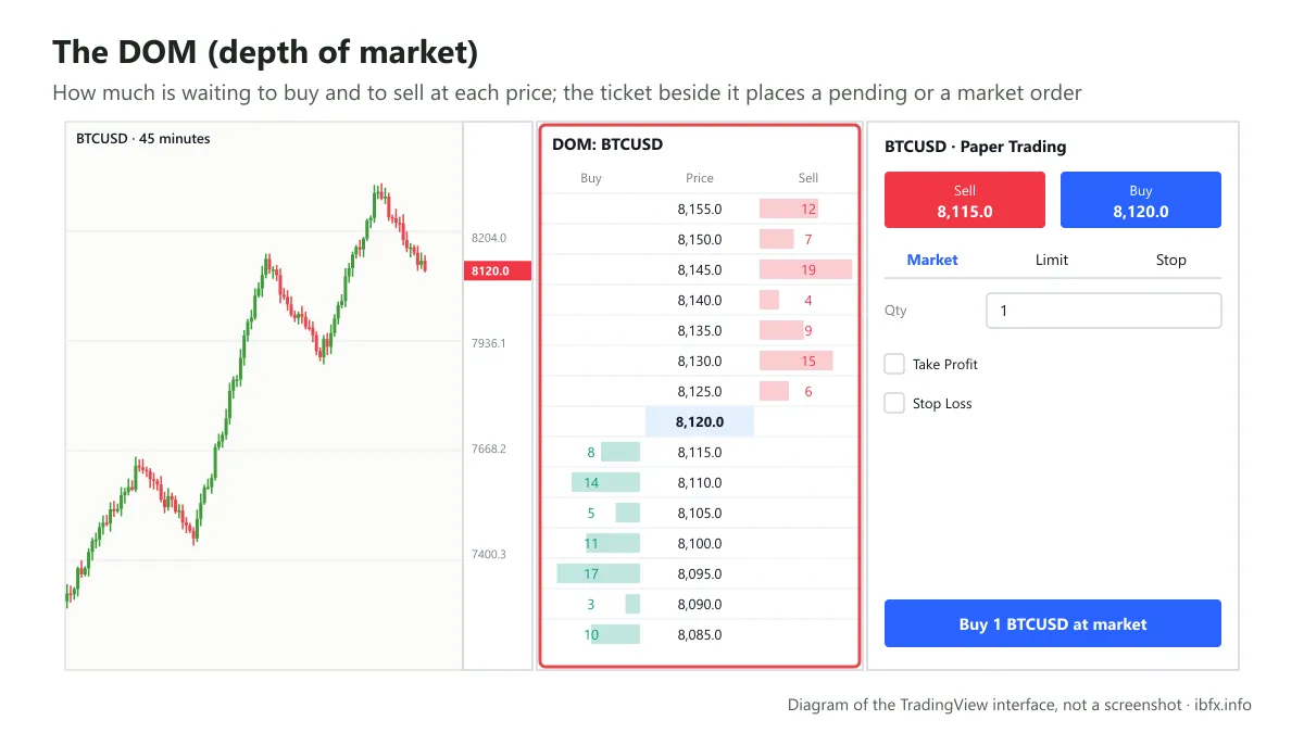 Diagram of the DOM depth of market panel on TradingView: the price levels with resting buy and sell size, and the simulated order ticket beside it