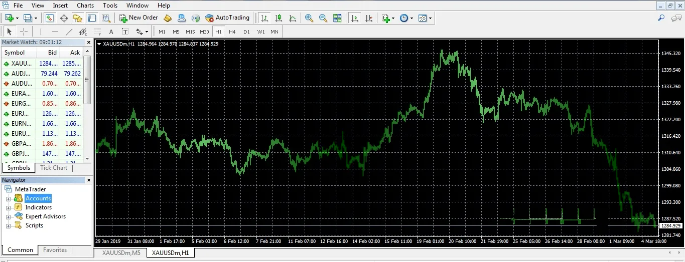 The MT4 platform interface with the Market Watch window, the Navigator window and the price chart