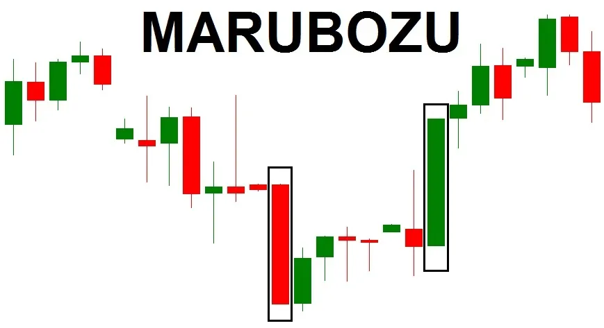 Candlestick chart under the word MARUBOZU, with one bearish and one bullish Marubozu each boxed