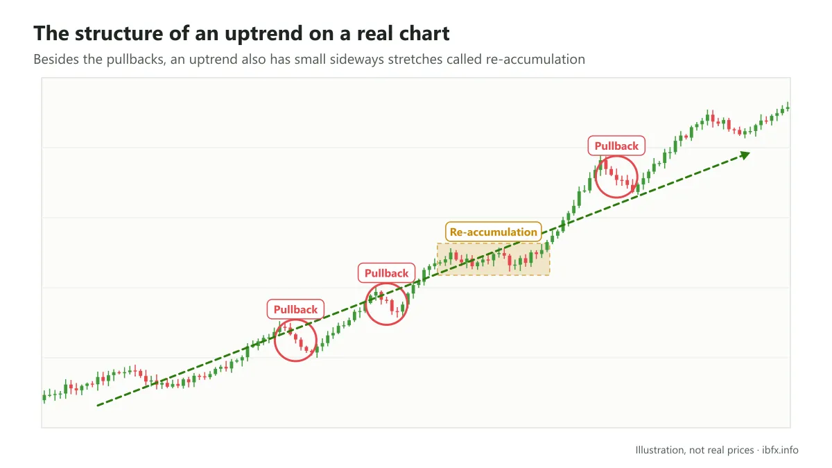Illustration of the structure of an uptrend on the daily chart with short pullbacks and one sideways stretch of re-accumulation